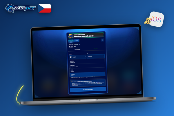 Hráč u notebooku kontroluje podmínky vkladu v Bassbet Casino Casino před potvrzením platby
