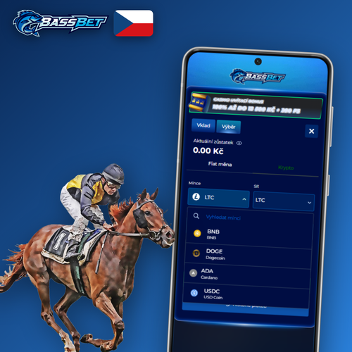 Bassbet Casino Casino výběr peněz s platebními metodami Visa, Skrill a Bitcoin